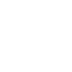 Professional briefcase