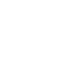 Government institution