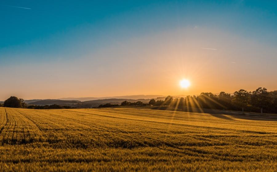 Agri