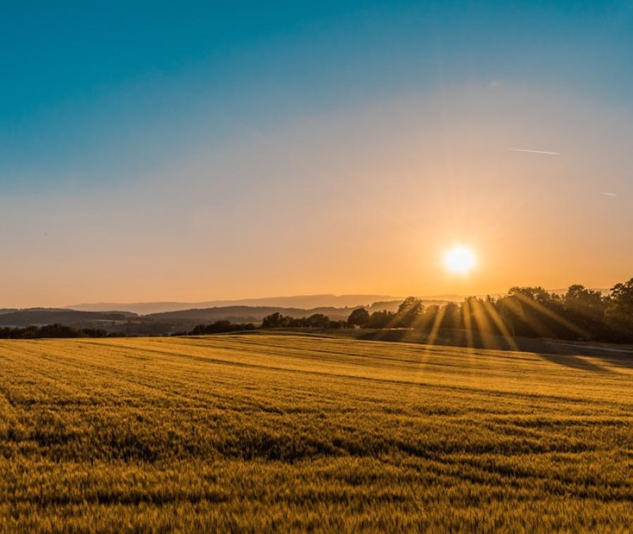 Agri